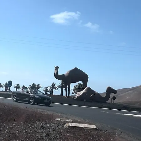 El Deleite Alojamiento Vacacional *